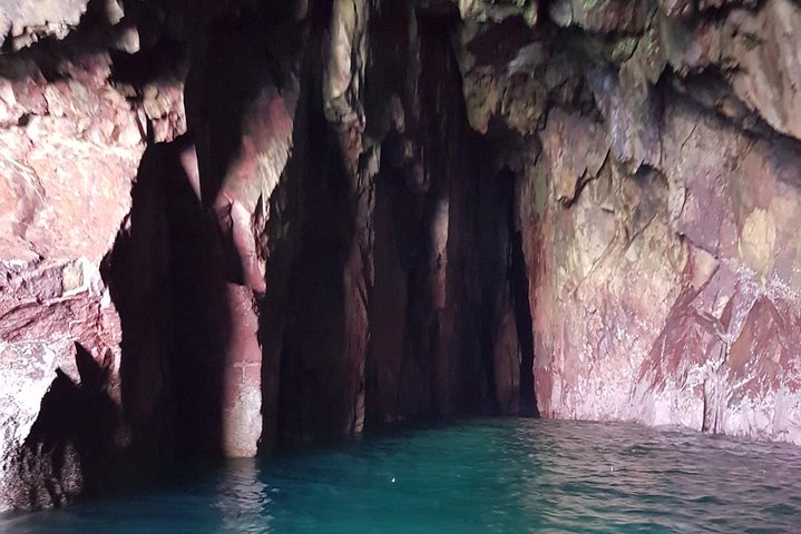 Dingle Boat Tours Wildlife RIB Adventure