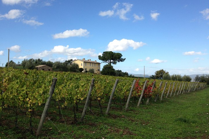 Winery Tour & Wine Tasting with Cheese at a Family Winery