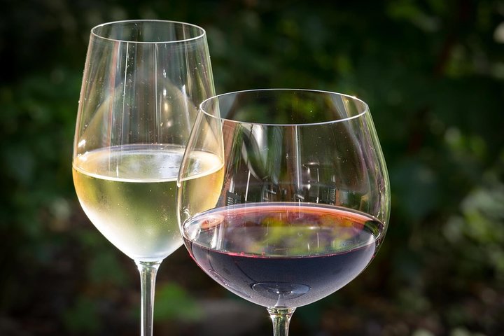 Day Trip: Wine Tasting in Ribera del Duero from Madrid (by High-Speed Train)