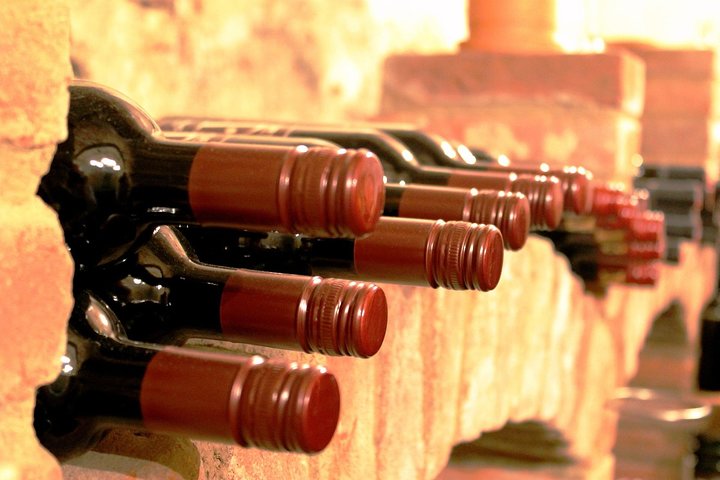 Day Trip: Wine Tasting in Ribera del Duero from Madrid (by High-Speed Train)