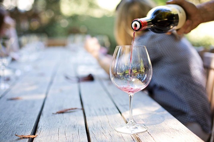Day Trip: Wine Tasting in Ribera del Duero from Madrid (by High-Speed Train)