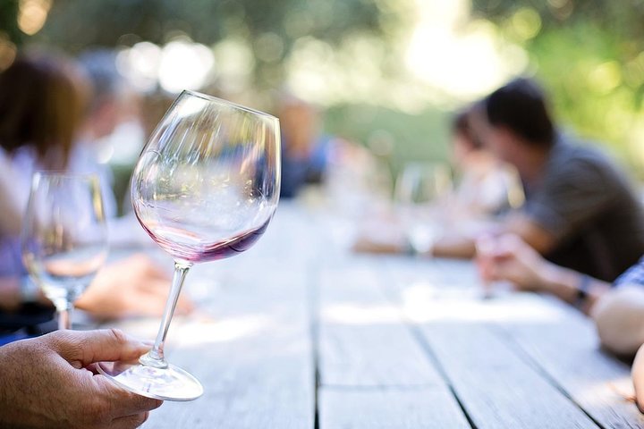 Day Trip: Wine Tasting in Ribera del Duero from Madrid (by High-Speed Train)