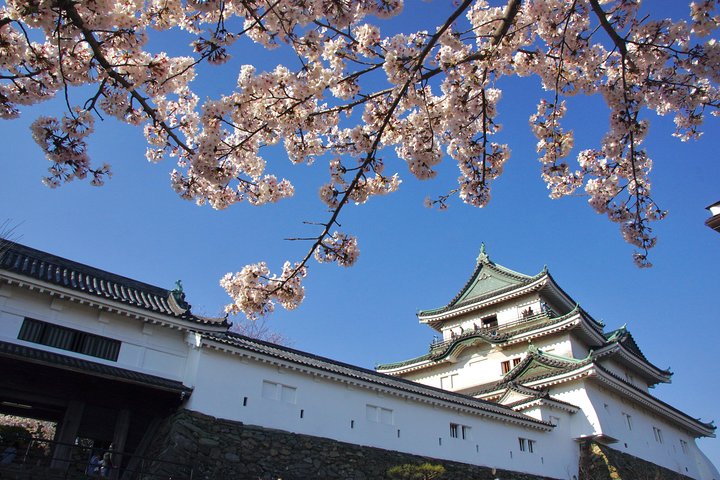 Wakayama Castle Town Walking Tour