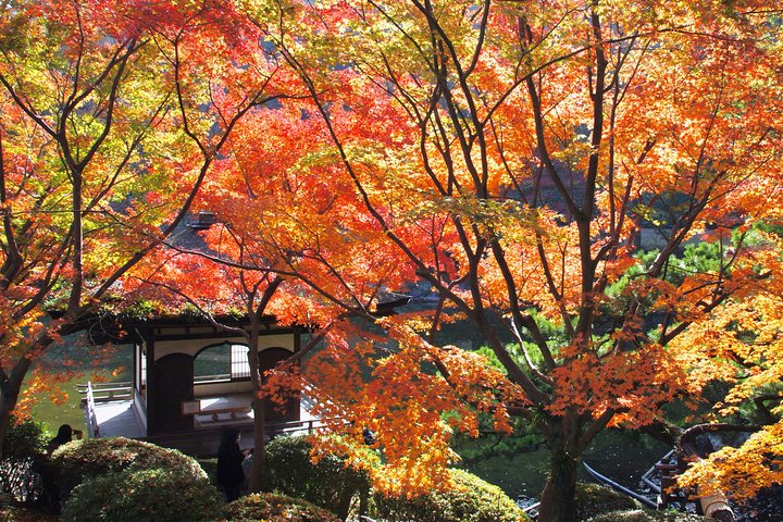 Wakayama Castle Town Walking Tour