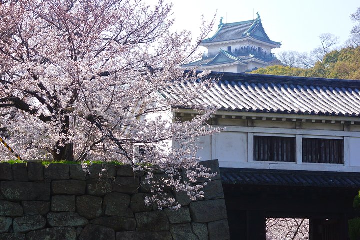 Wakayama Castle Town Walking Tour