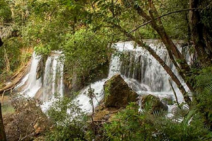 Lacandona Jungle 1 Day (hiking)