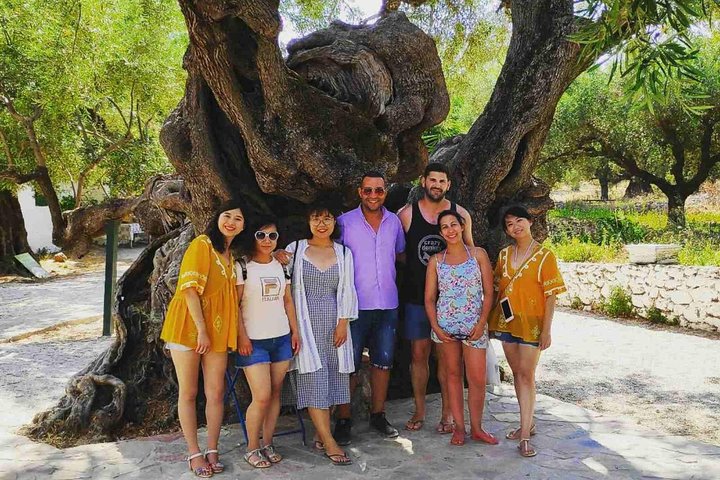 Zakynthos : One day small group tour to Navagio beach Blue Caves & top view