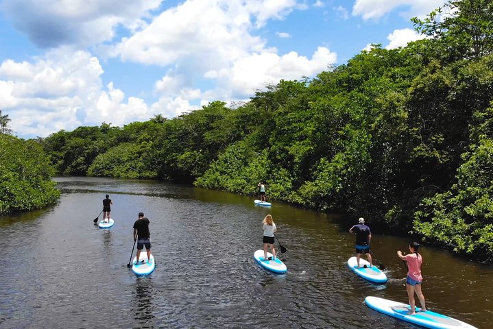 4 Days Paddle Boarding in the Cuyabeno Reserve
