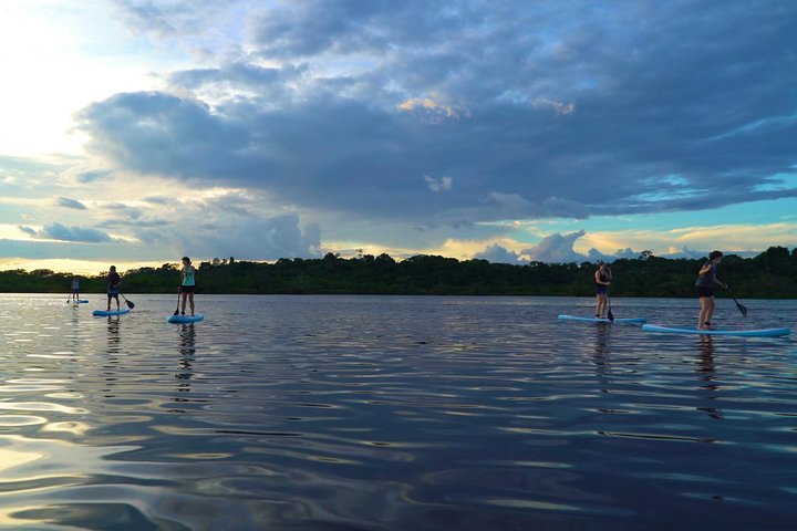 4 Days Paddle Boarding in the Cuyabeno Reserve