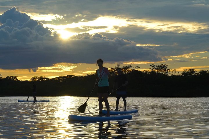 4 Days Paddle Boarding in the Cuyabeno Reserve