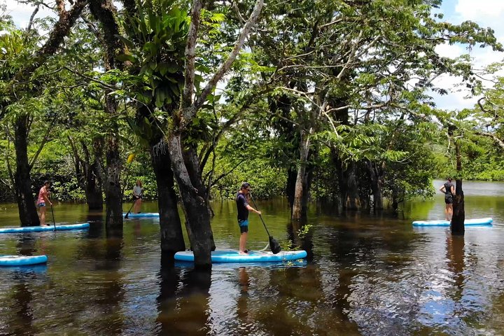 4 Days Paddle Boarding in the Cuyabeno Reserve