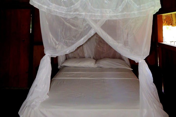 4 Days Cuyabeno Amazon Experience at Waita Lodge
