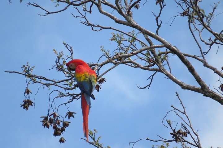 4 Days Cuyabeno Amazon Experience at Waita Lodge