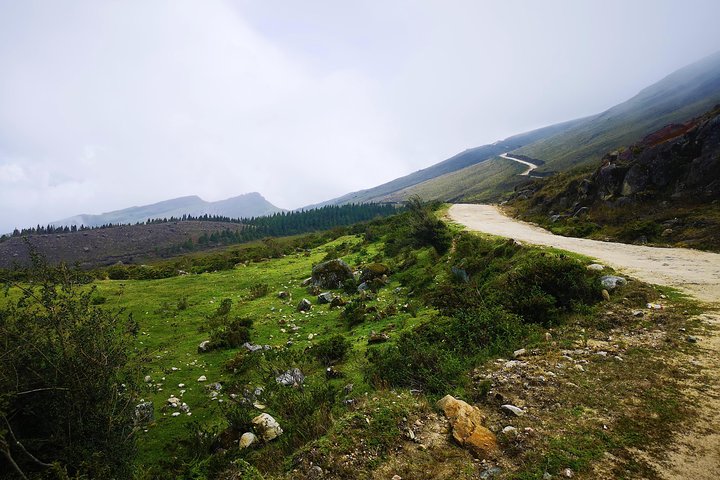 Private Tour - Páramo de Santurban (Nature)