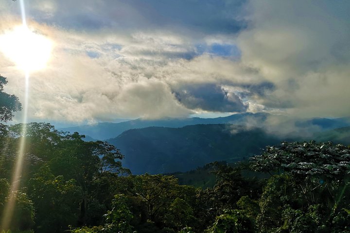 Private Tour - Páramo de Santurban (Nature)