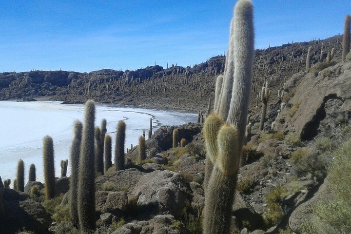 Tailor-Made 3-Day Uyuni Salt Flats & Lagoon Discovery