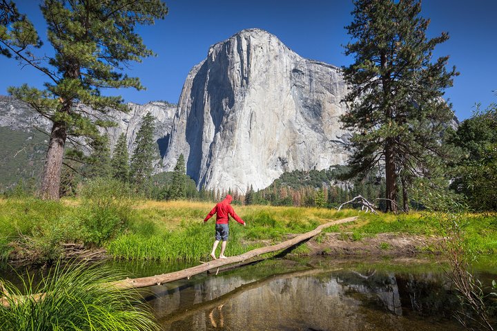 Yosemite National Park and Giant Sequoias Tour from San Jose