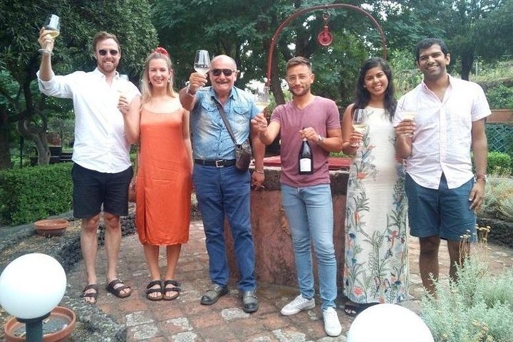 Private 6-Hour Tour of Three Etna Wineries with food&wine tasting