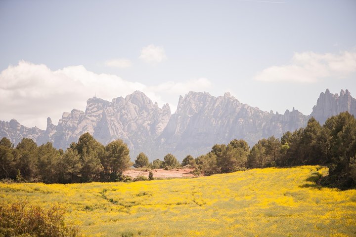 Montserrat & Cogwheel Train, Gourmet Wine Tasting & Tapas/Lunch