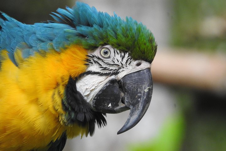 Tucan lodge Cuyabeno