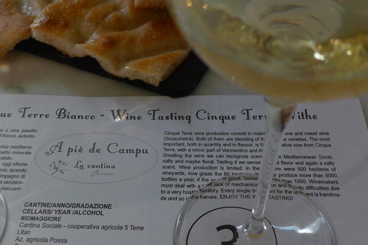 vineyard tour & wine tasting