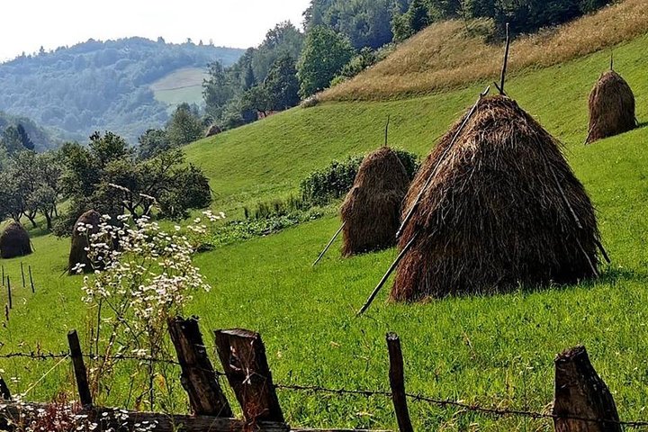 4x4 Nature Tour in Land of Dracula - 1 day