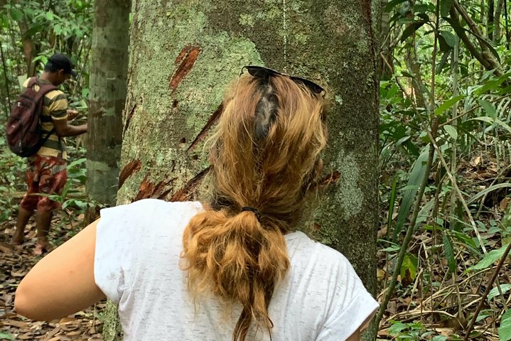 Amazon Jungle Experience with Overnight