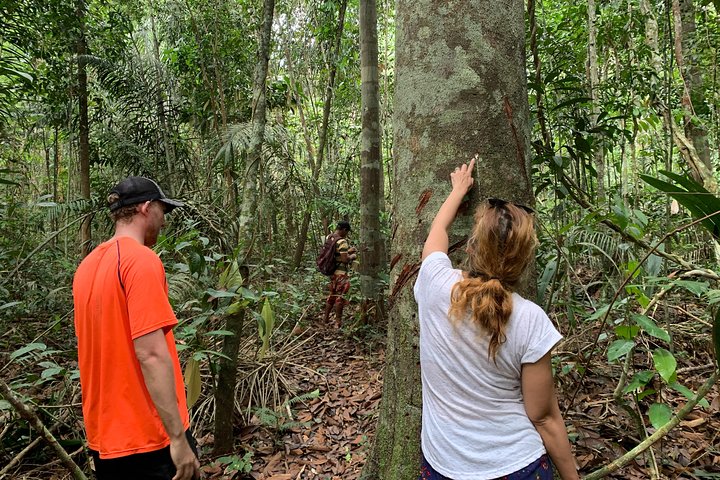 Amazon Jungle Experience with Overnight