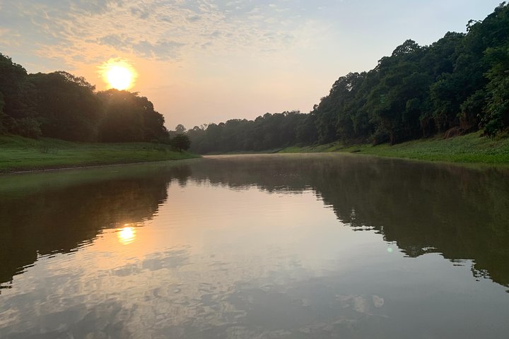 A Whole Day in the Jungle