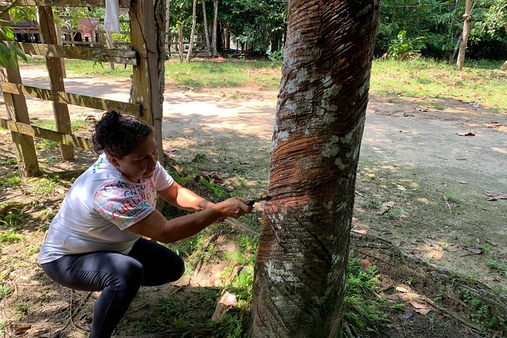 Amazon Jungle Experience with Overnight
