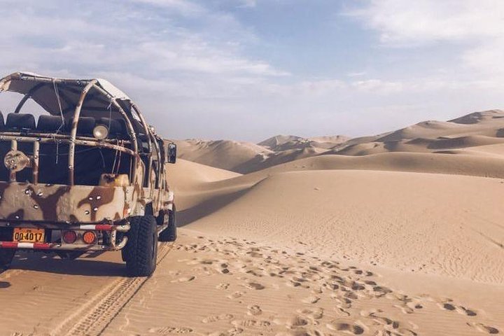 Full Day Paracas Ica and Huacachina from Lima All Included