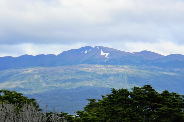 Punta Arenas Signature Shore Experience