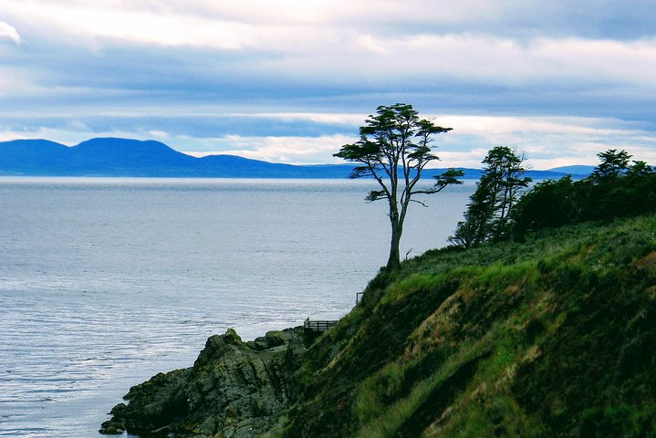 Punta Arenas Signature Shore Experience