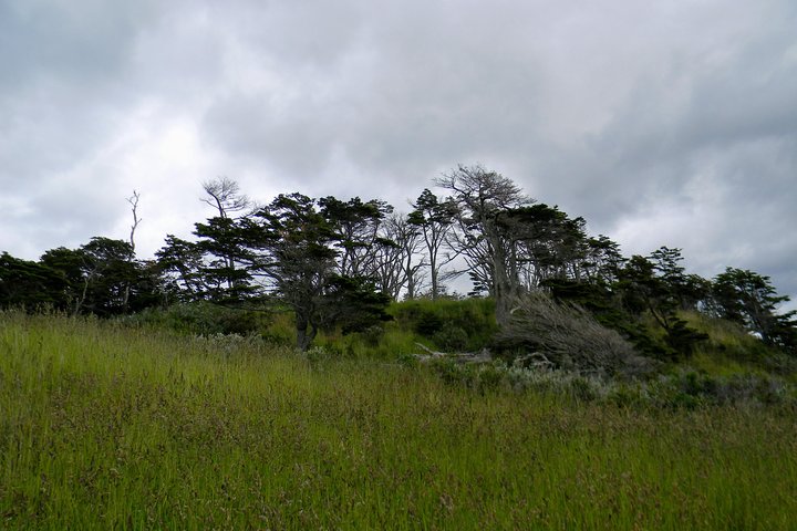 Punta Arenas Signature Shore Experience