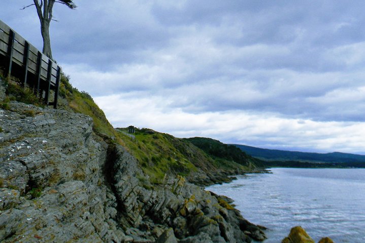 Punta Arenas Signature Shore Experience