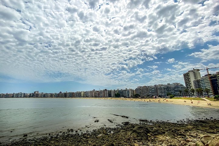 Tailor-made Montevideo: Private City Tour with a Local