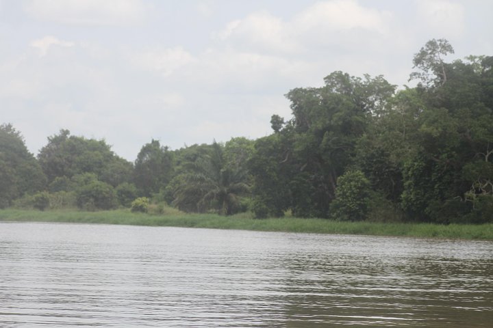 Susur Sungai Arut , Down The Arut River