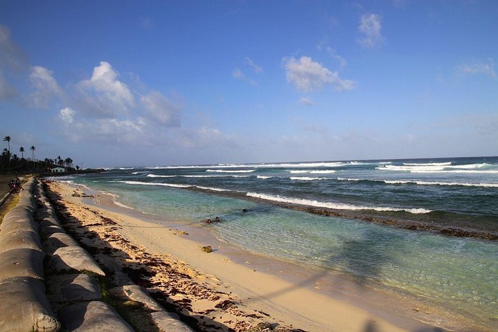 Tourist white train - Tour around the island