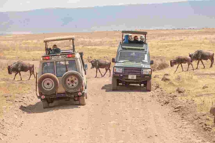 5 Days - Best Of Tanzania Northern Zone, Lodge Safari