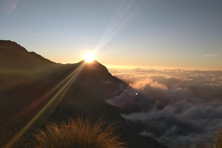 Sunrise Tour in Top Station, Munnar ( By Munnar Info)