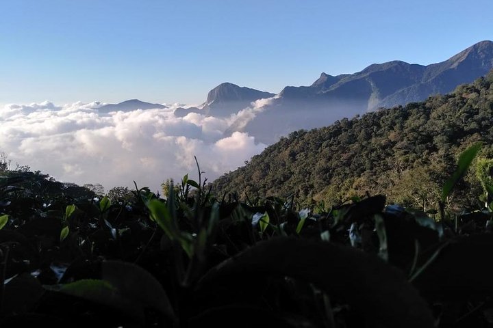 Sunrise Tour in Top Station, Munnar ( By Munnar Info)
