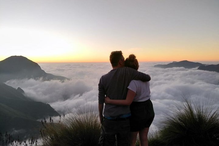 Sunrise Tour in Top Station, Munnar ( By Munnar Info)