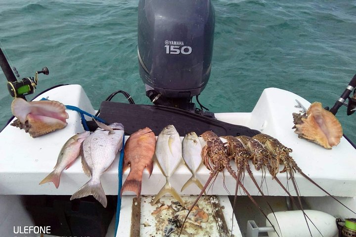 Premium Private Fishing, Snorkelling and Beach cookout tour in San Pedro,Belize
