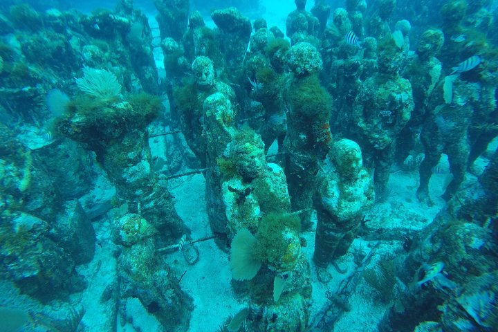 Isla Mujeres Snorkeling Tour Adventure
