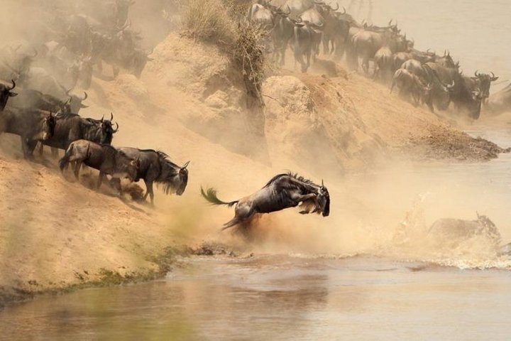 3 Days Maasai Mara Guided Safari from Nairobi