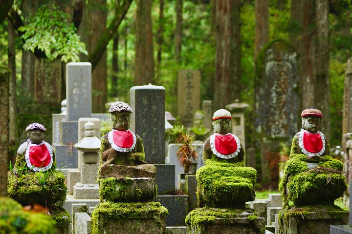 Koyasan Full-Day Private Tour