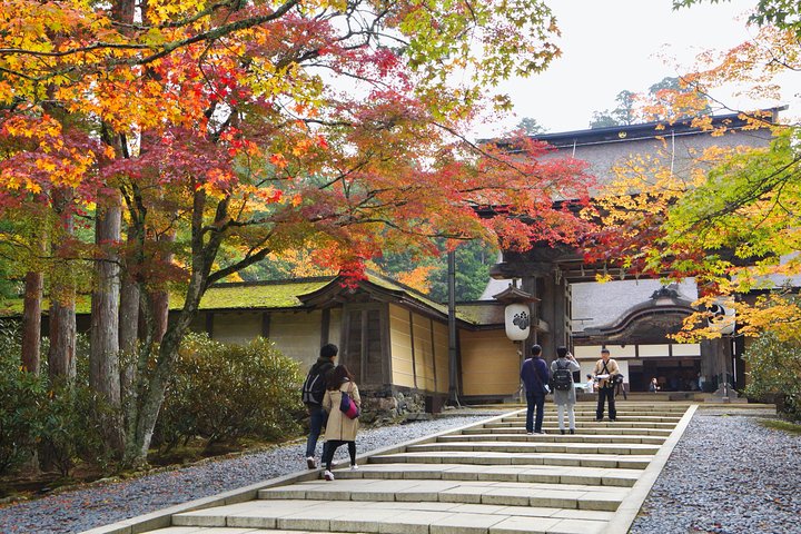 Koyasan Full-Day Private Tour