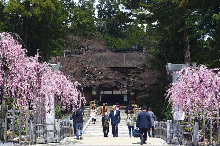 Koyasan Full-Day Private Tour