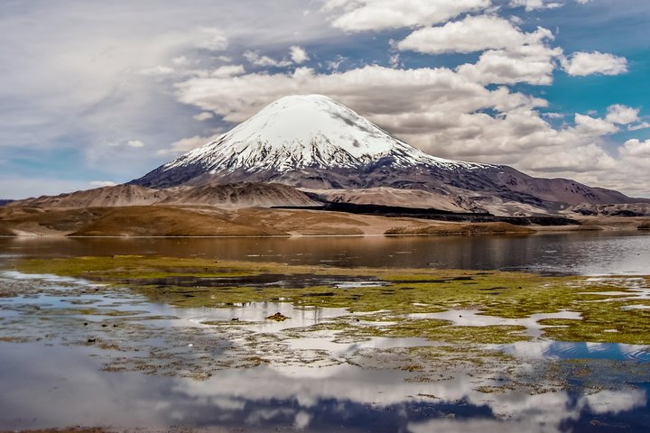 Lauca National Park 2D / 1N "Arica - Putre - Lake Chungará - Arica"