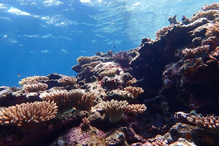 Okinawa Ishigaki Phantom Island and Blue Cave Snorkeling